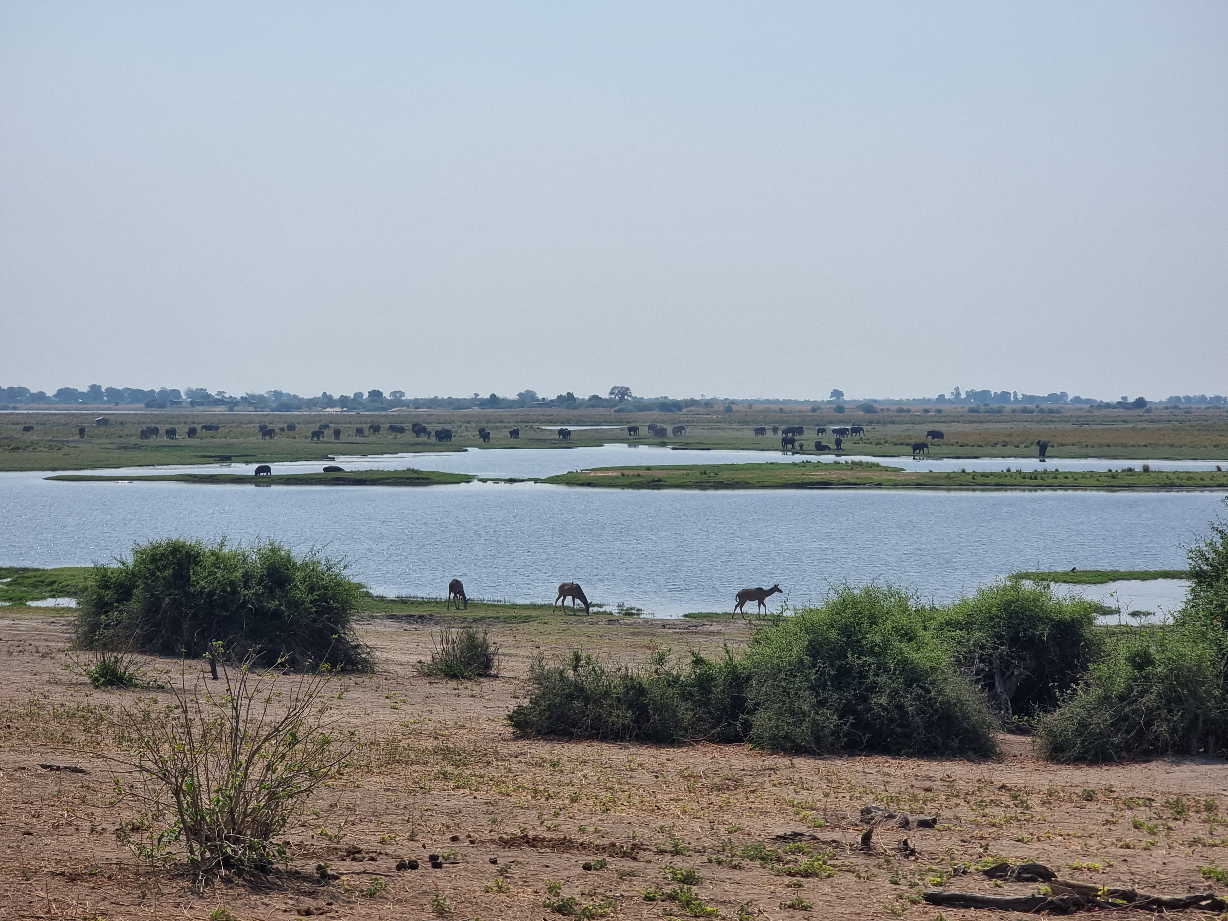 chobe national park botswana