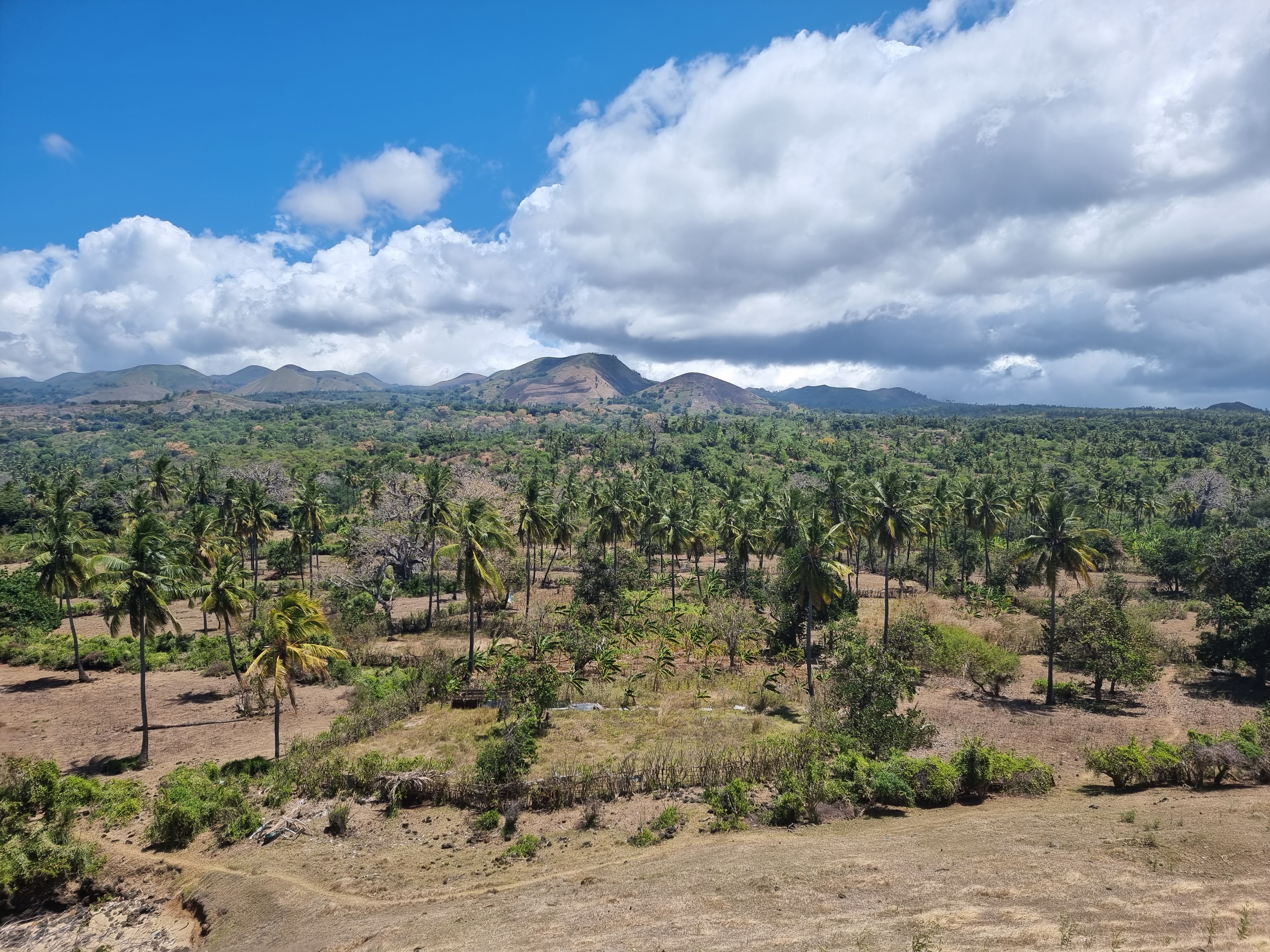 comoros dos du dragon