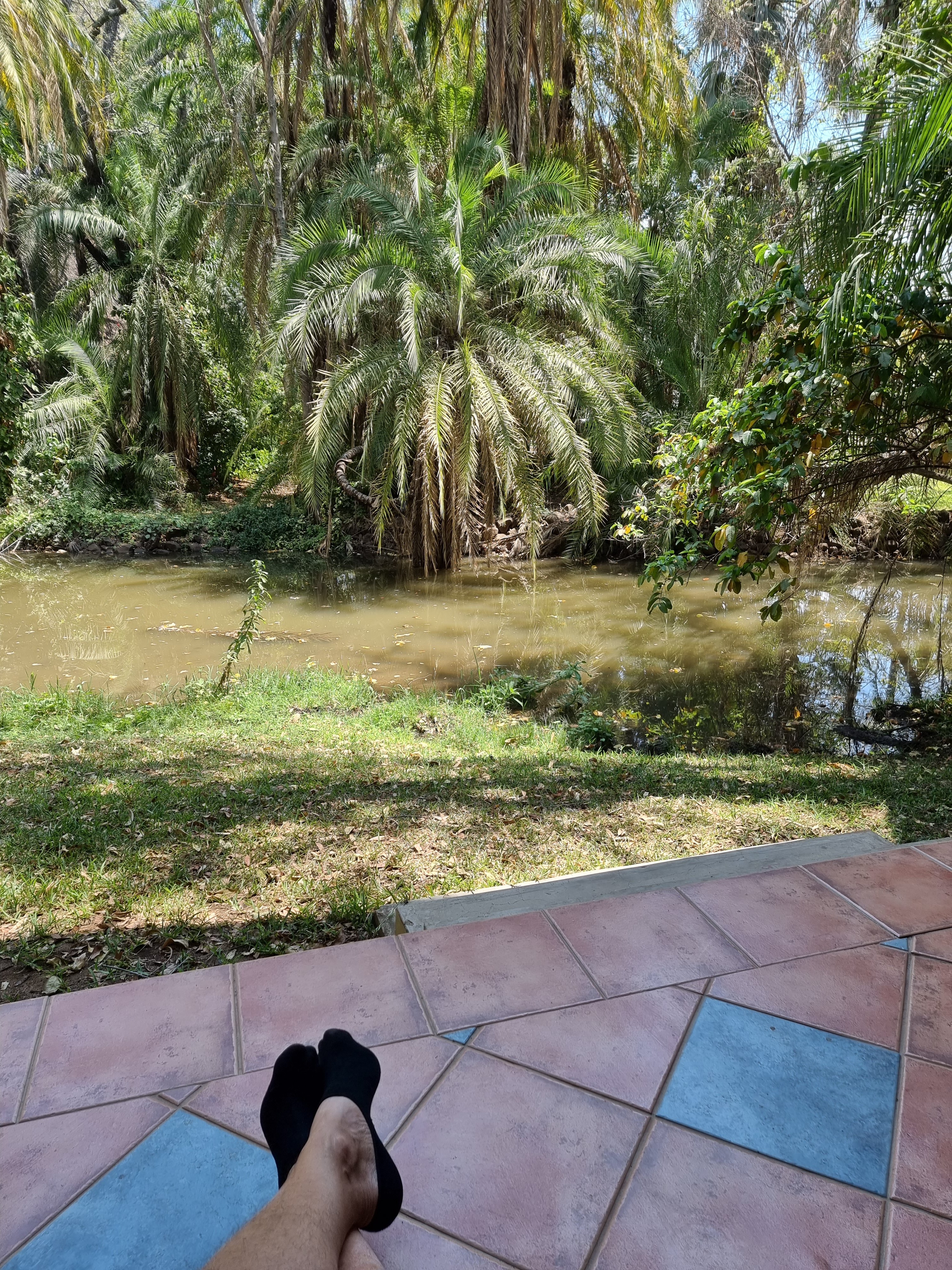 zambia crocodile river