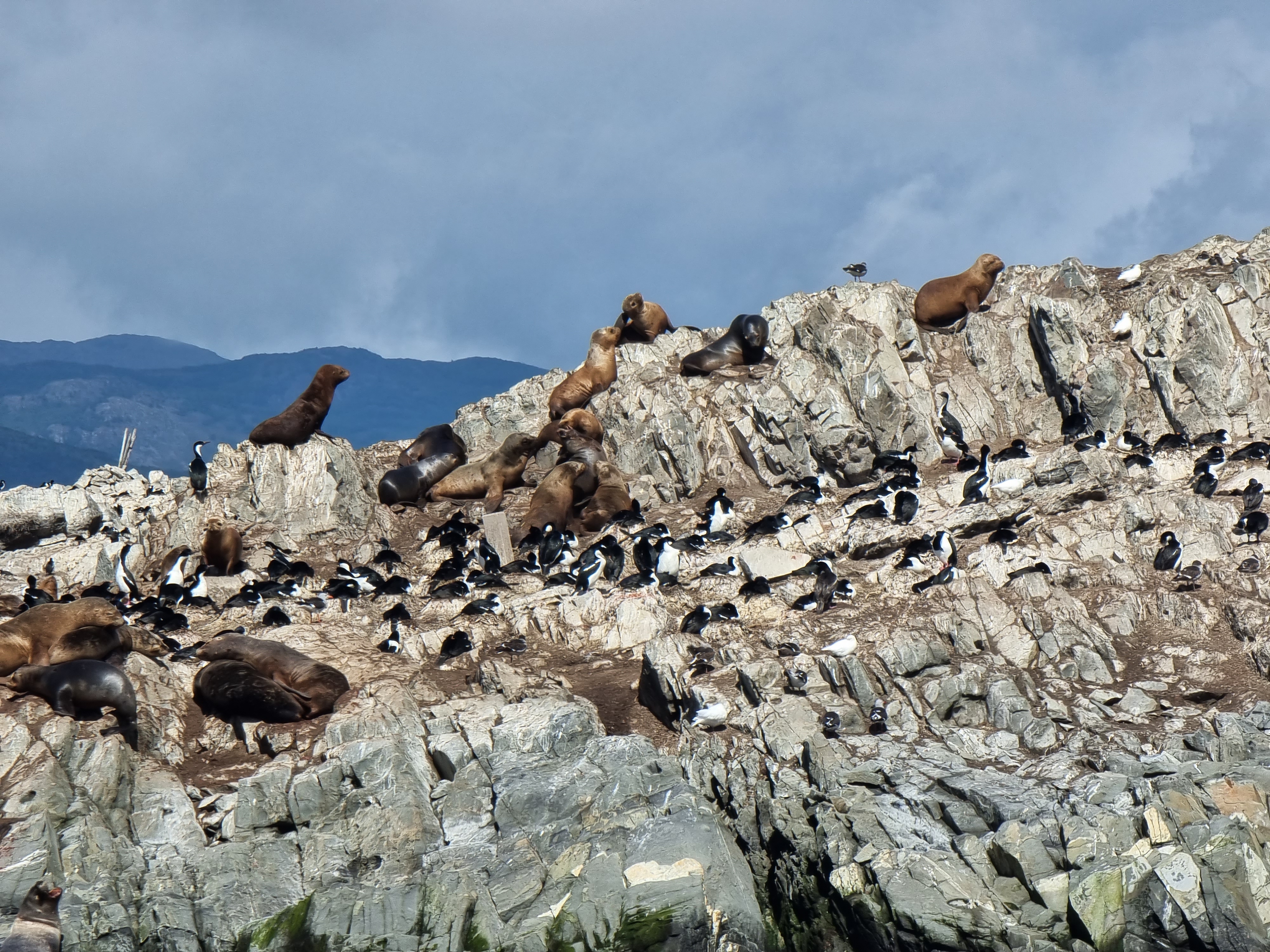beagle channel cruise argentina