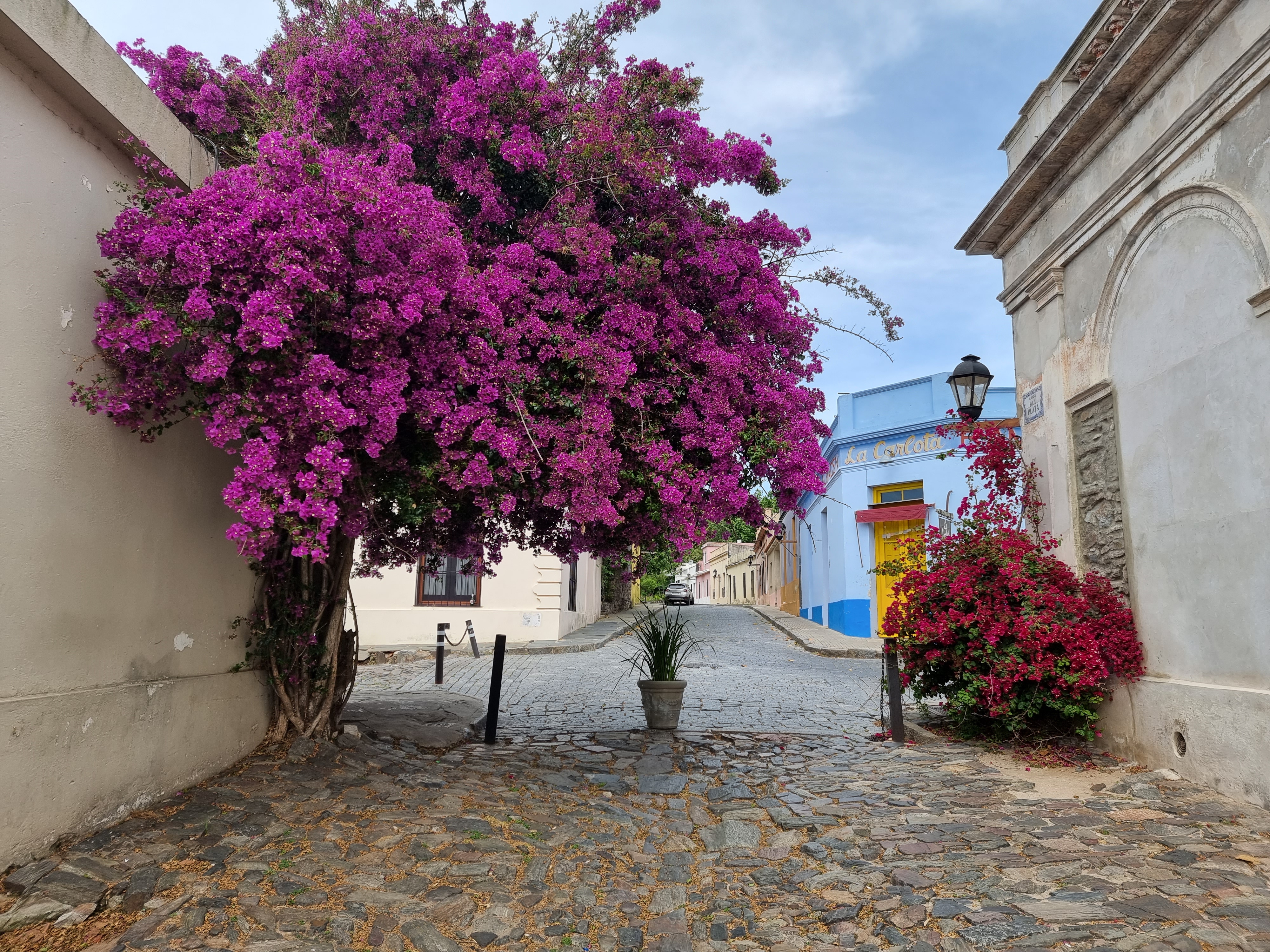 colonia del sacramento old town