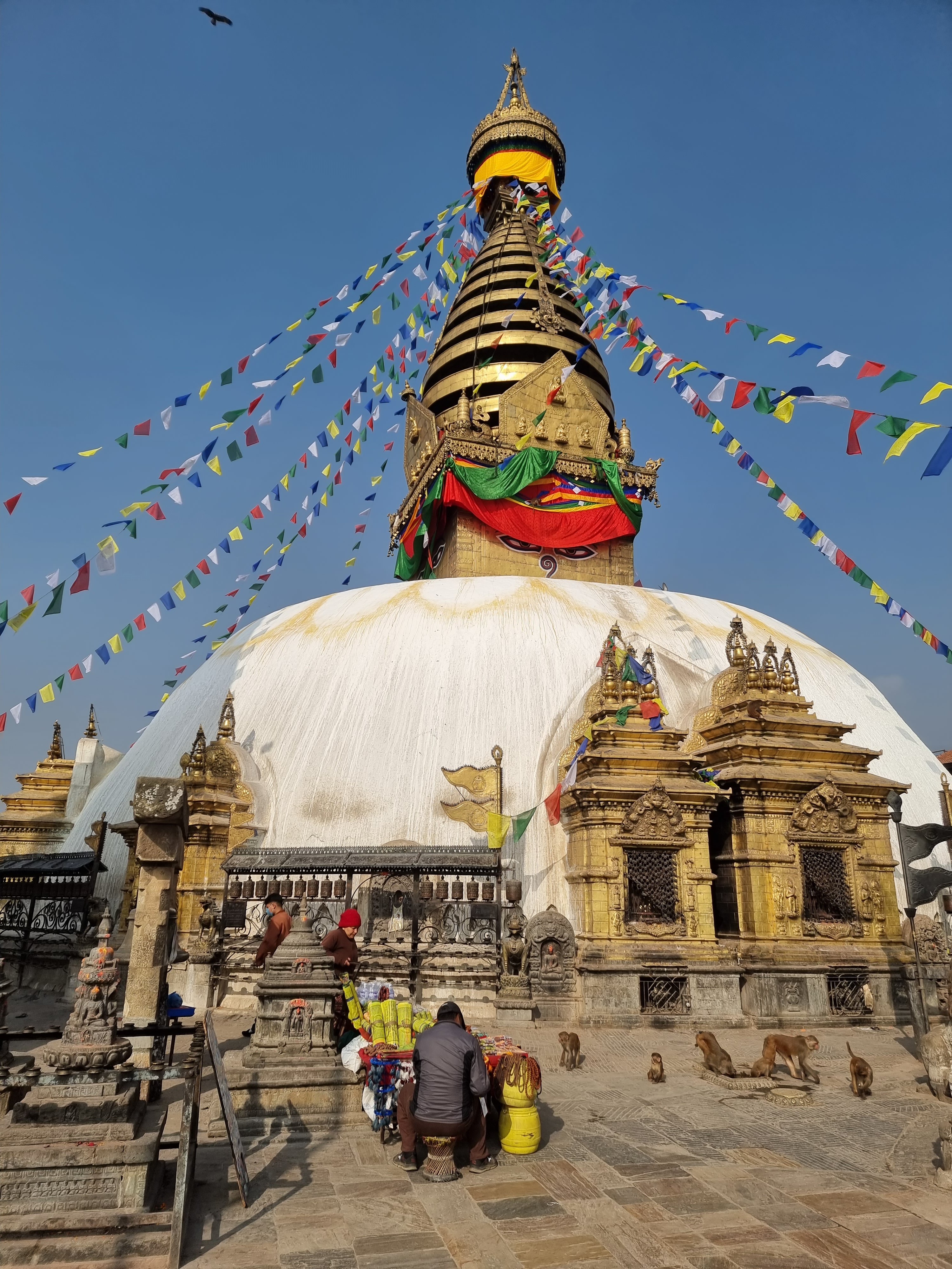 Swayambhunath monkey temple kathmandu