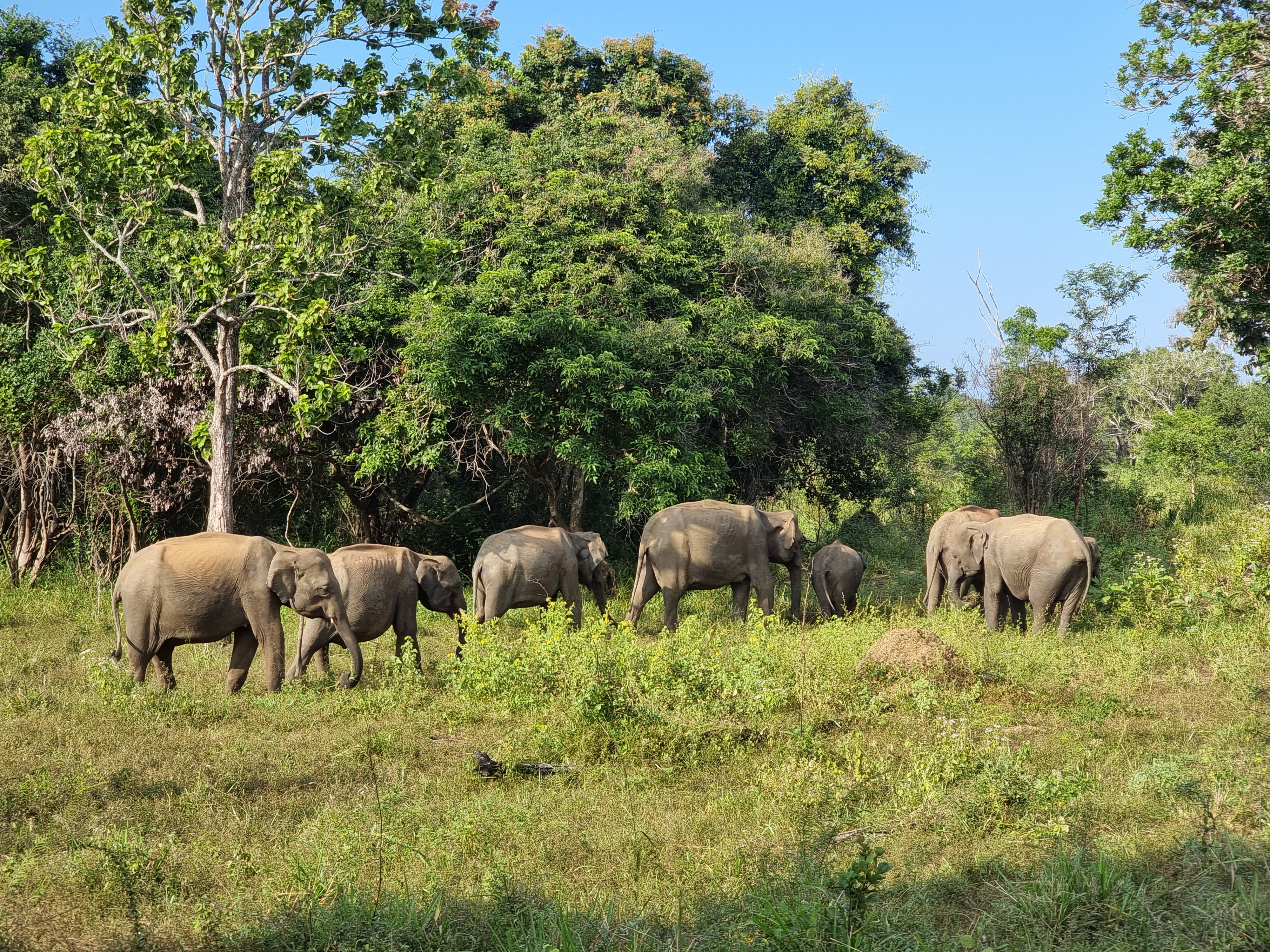 huluru eco park sri lanka