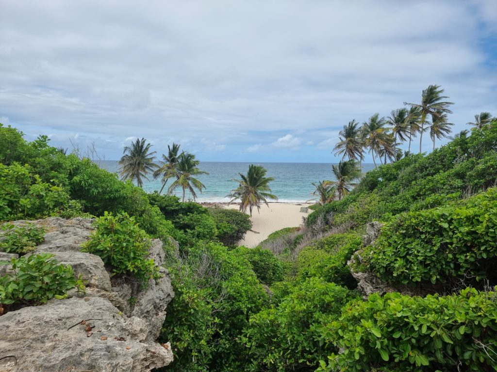 bottom bay barbados