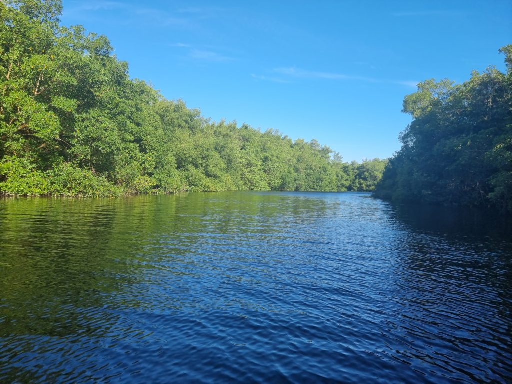 trinidad bird sanctuary