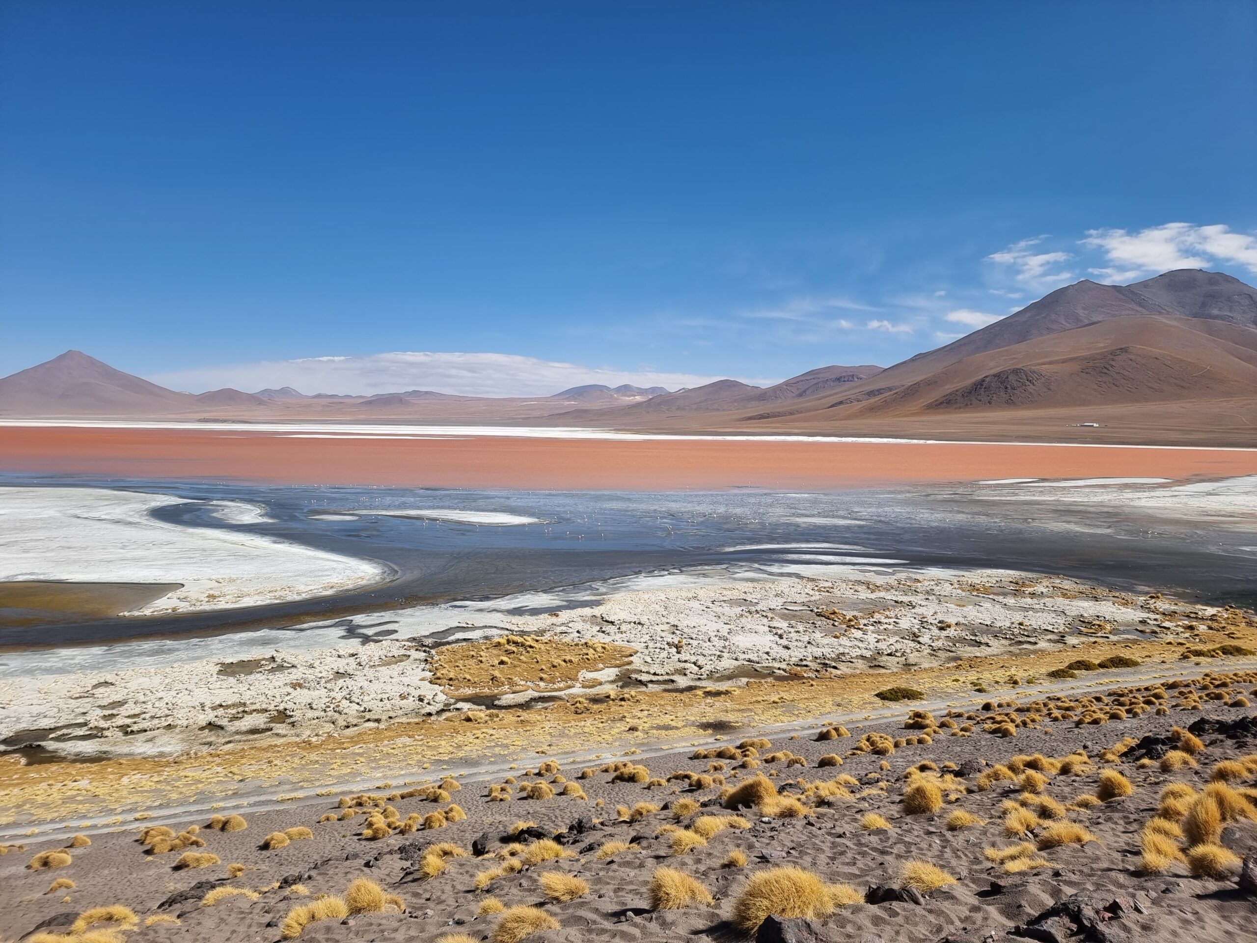 bolivia laguna roja salar de uyuni