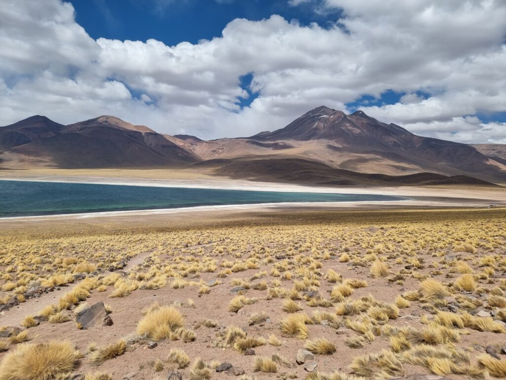 lagunas altiplanicas