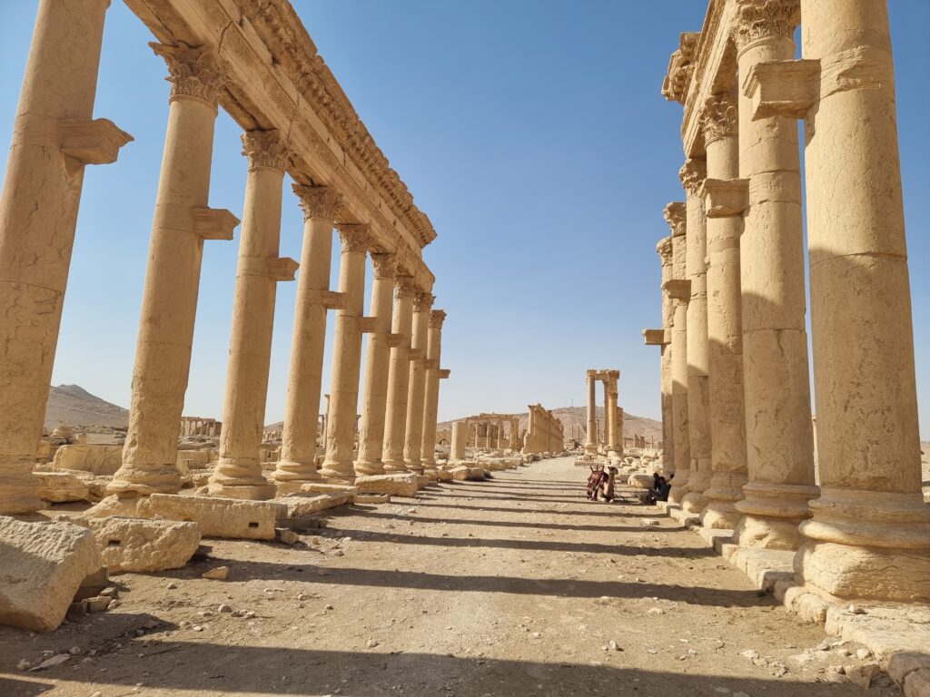 camel riding palmyra