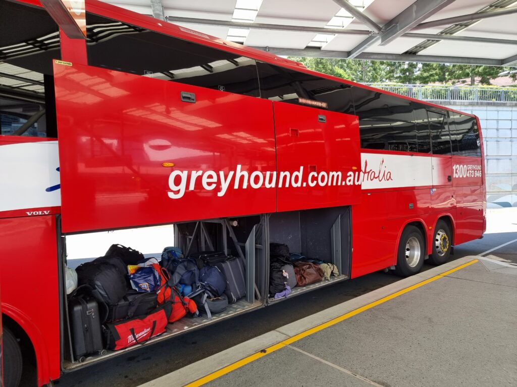 greyhound australia