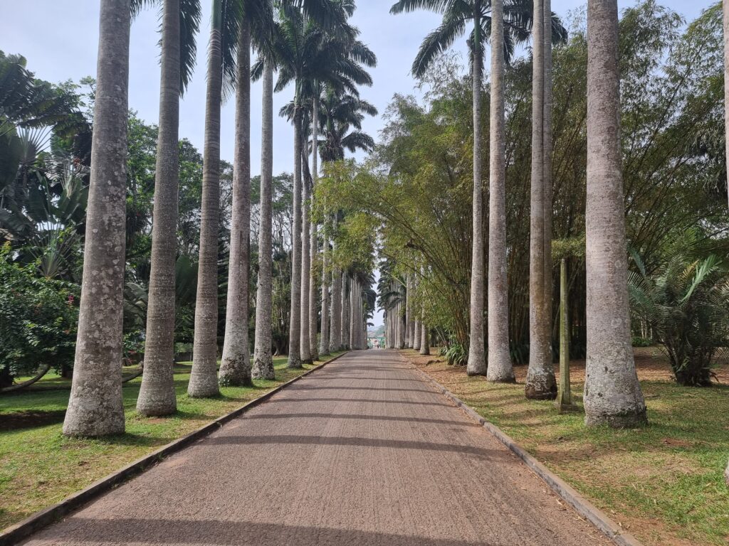 aburi botanical garden ghana