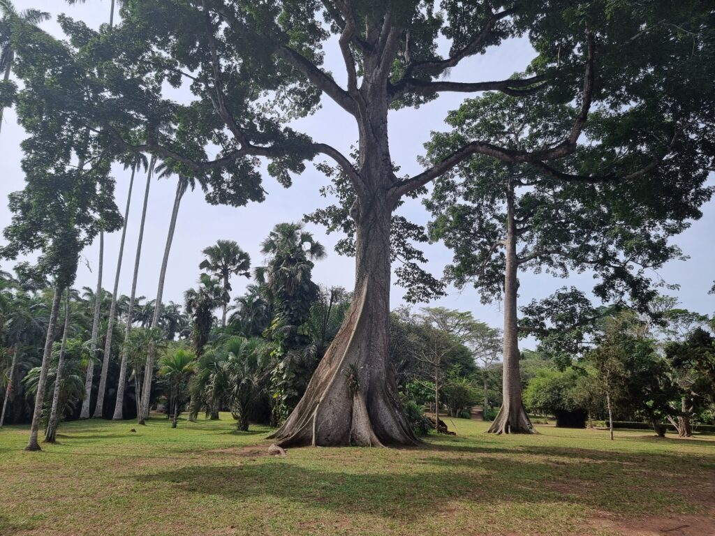 aburi gardens ghana