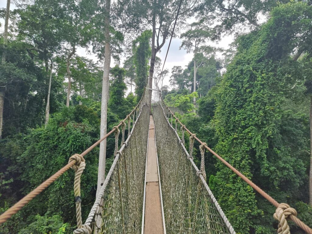 kakum national park ghana