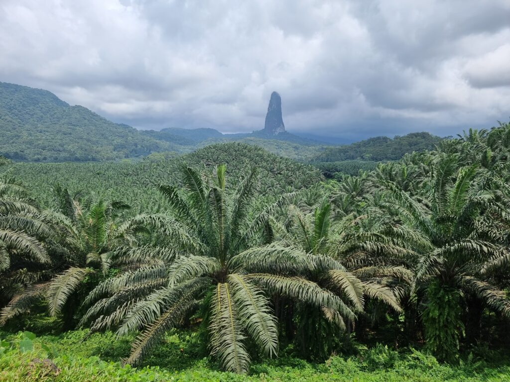 pico cao grande stp