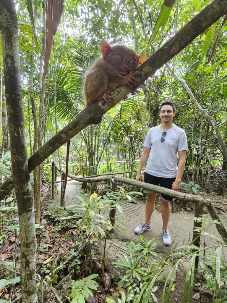 tarsier conservation area bohol