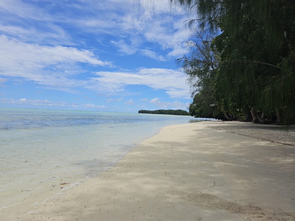 palau carp island resort