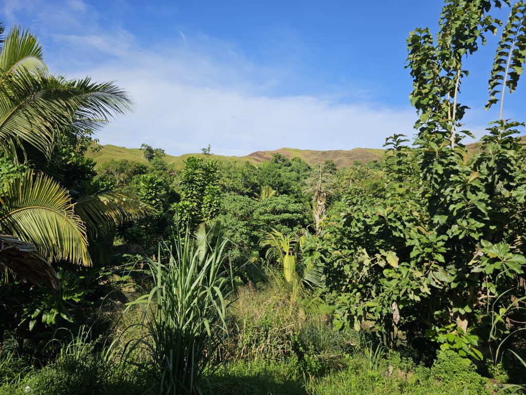 galloping horse ridge