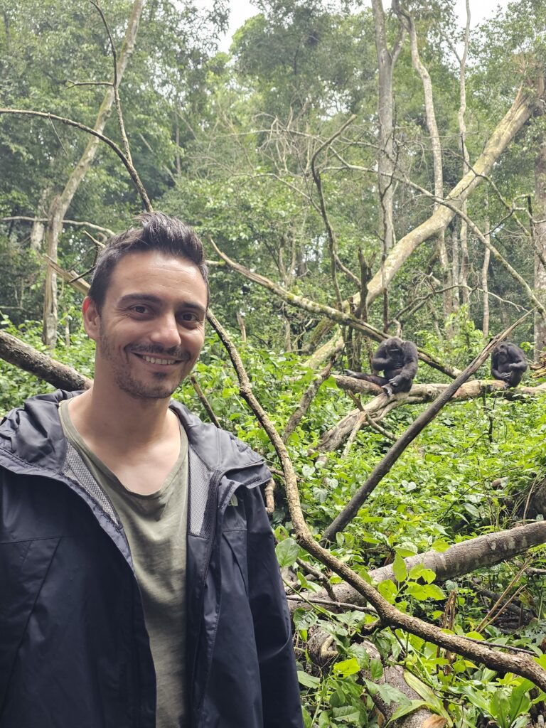 chimpanzee trekking uganda