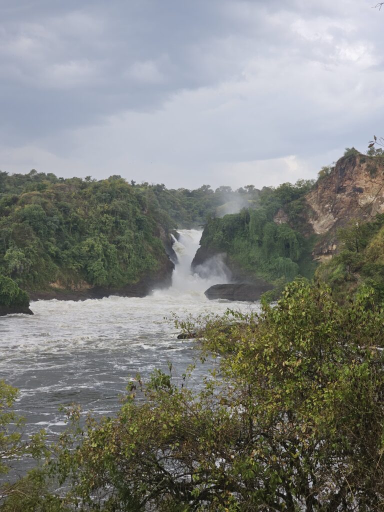 uganda murchison falls
