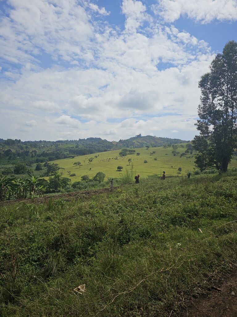 uganda top of the world trail