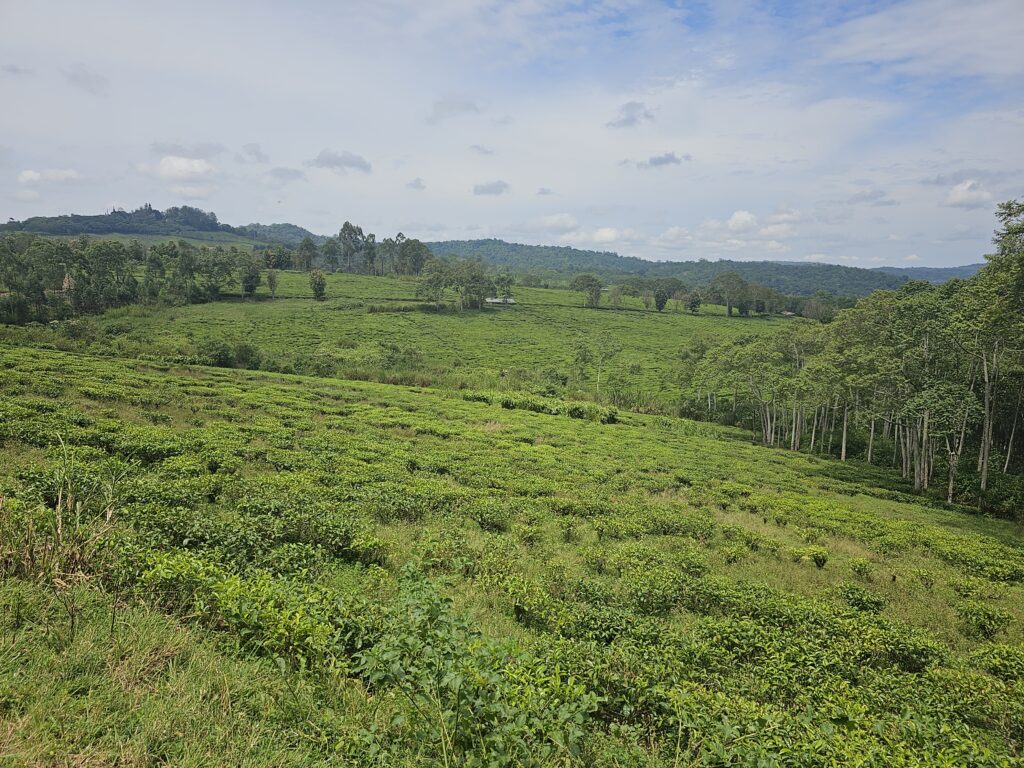 uganda top of the world trail