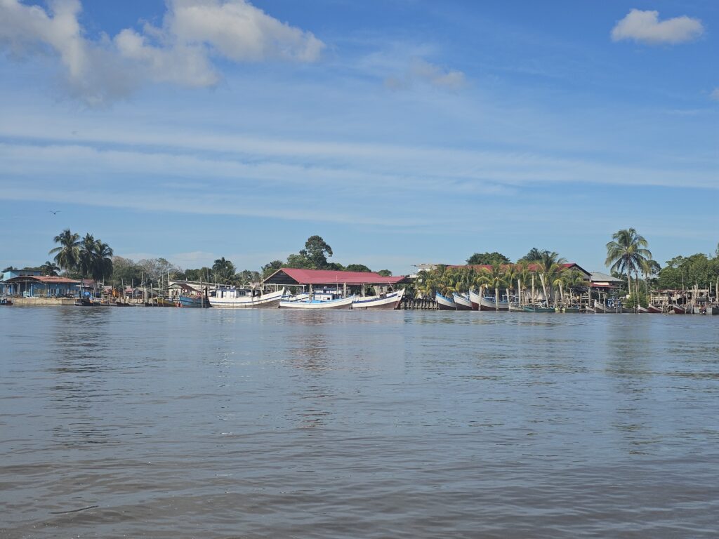 sunset dolphin cruise suriname