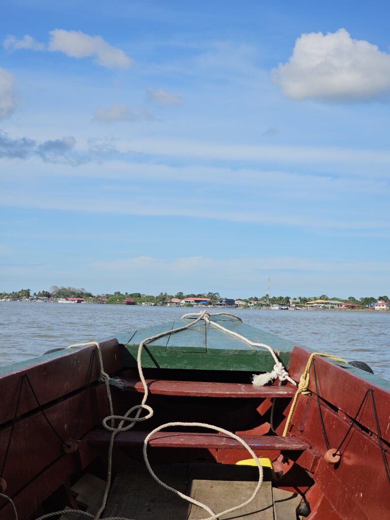 sunset dolphin cruise suriname