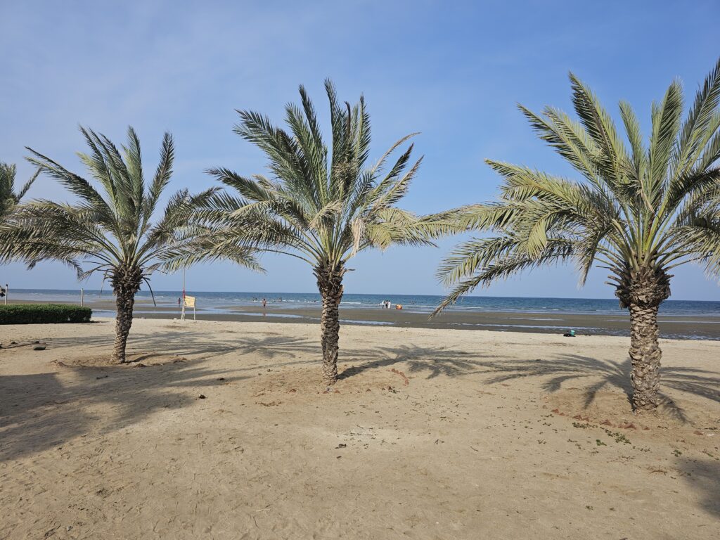 gurgusum beach massawa