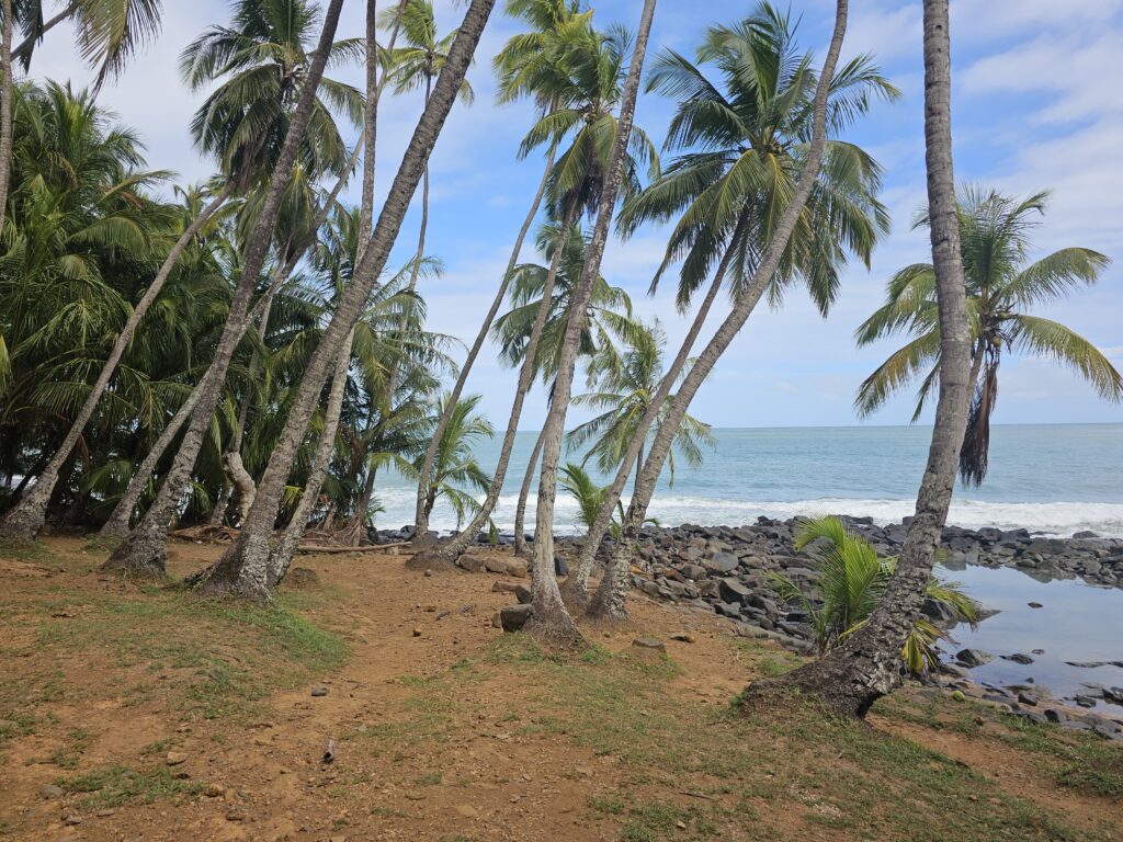 iles du salut royal island