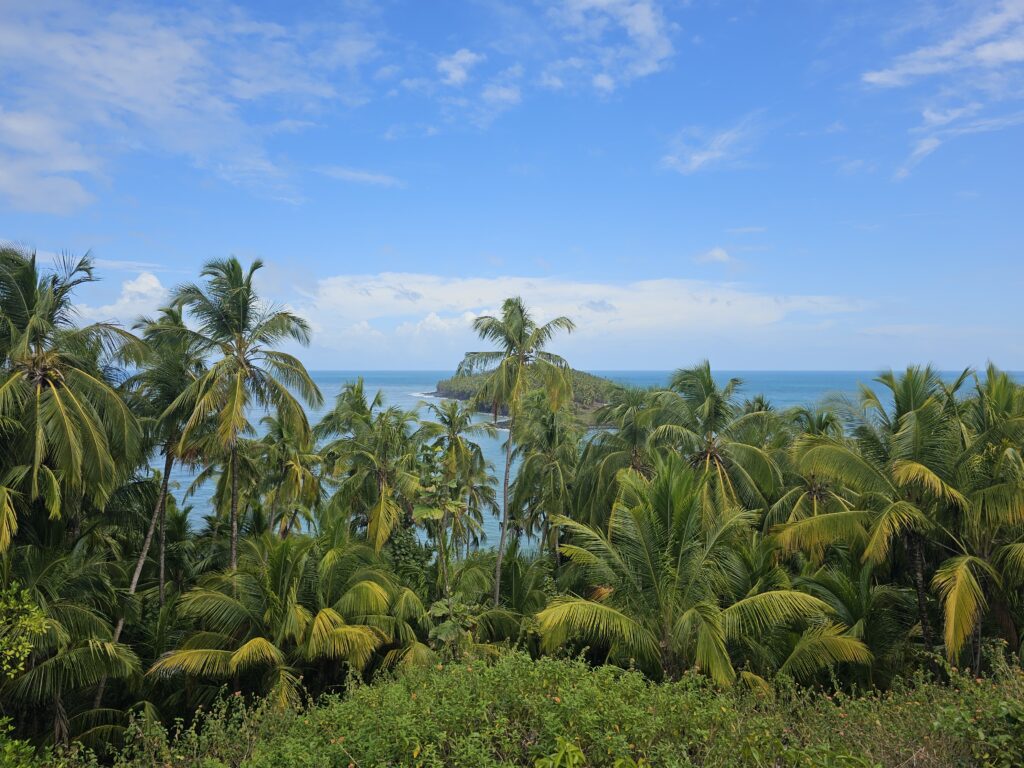 iles du salut kourou