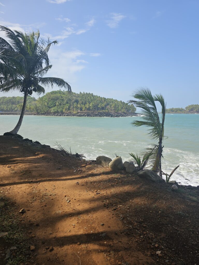 salvation islands french guiana