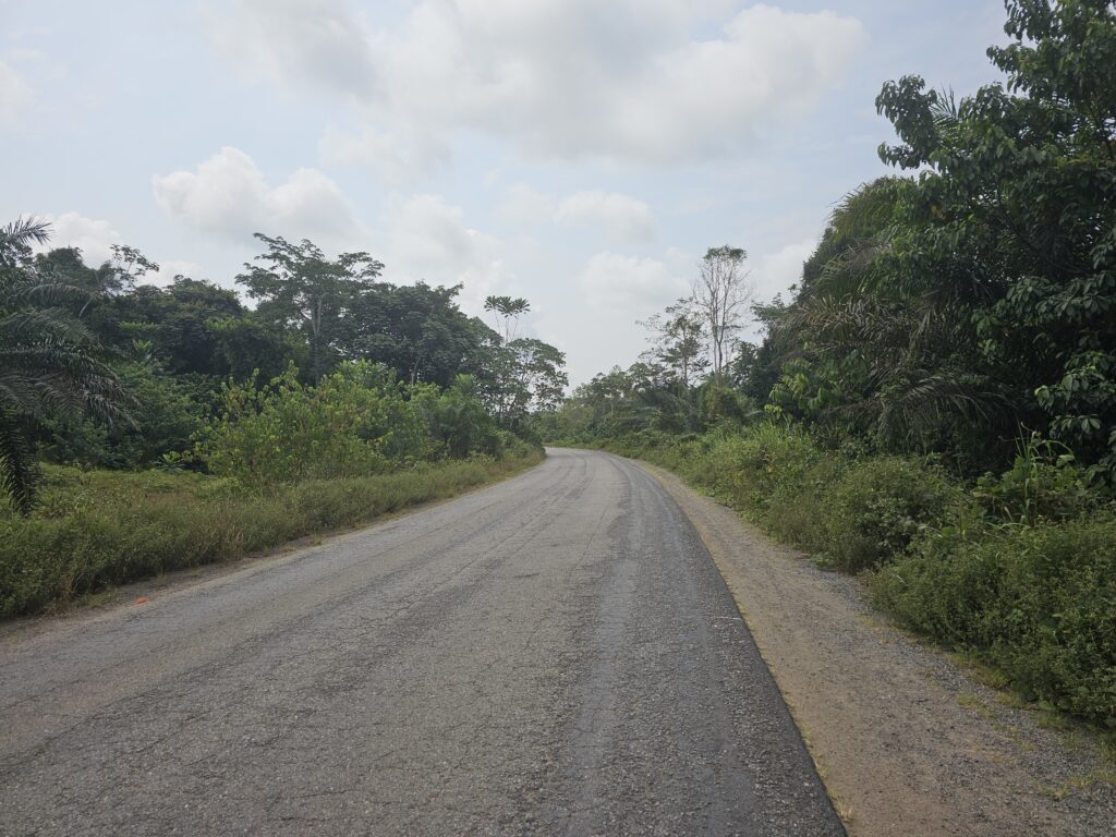 streets of cameroon