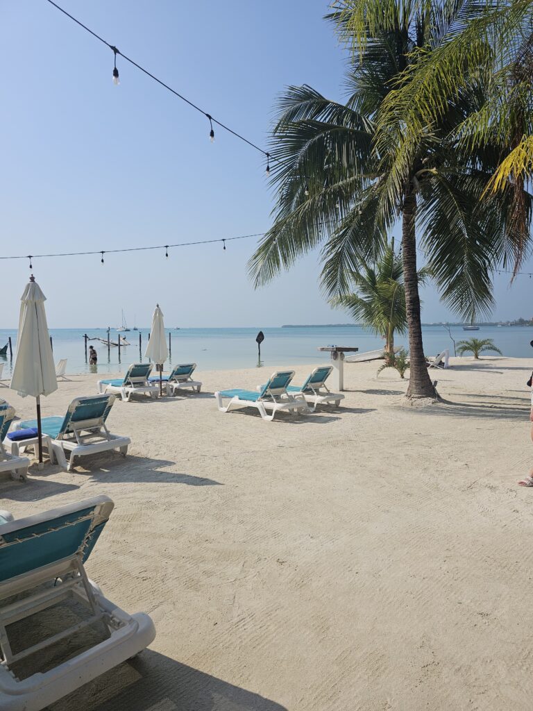 iguana reef caye caulker