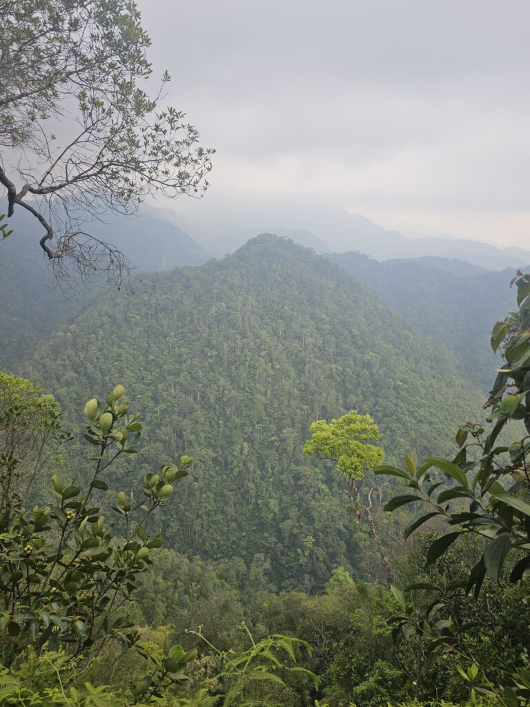 cerro azul meambar national park