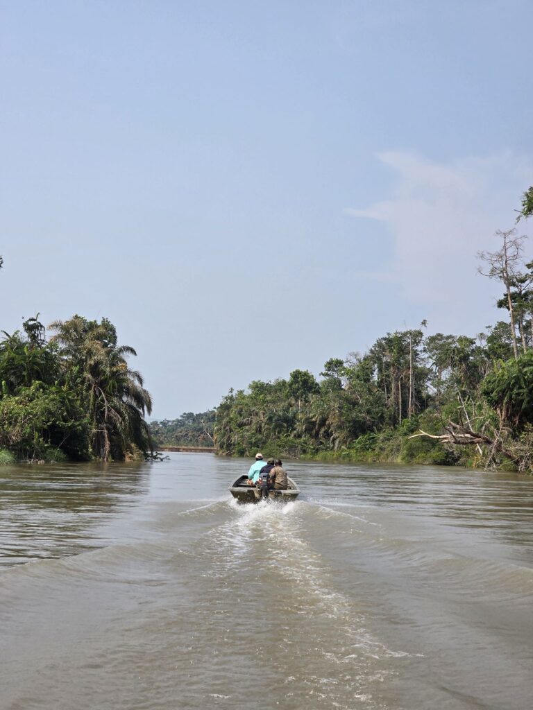 lesio louna reserve lefini republic of the congo