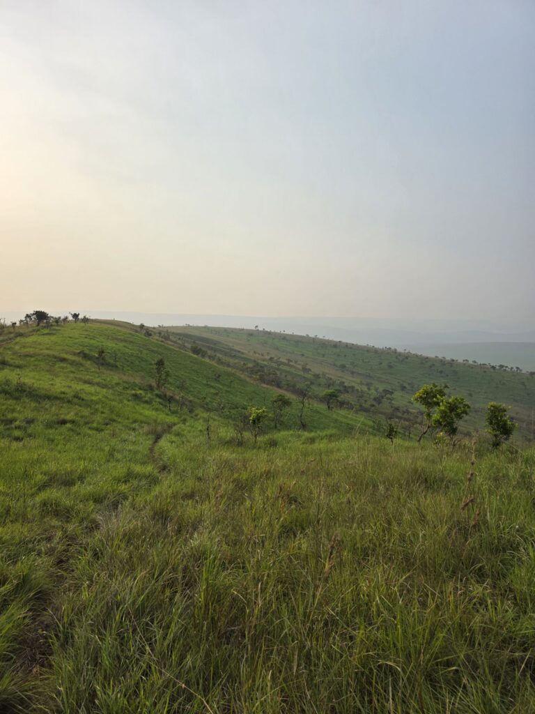 republic of the congo nature