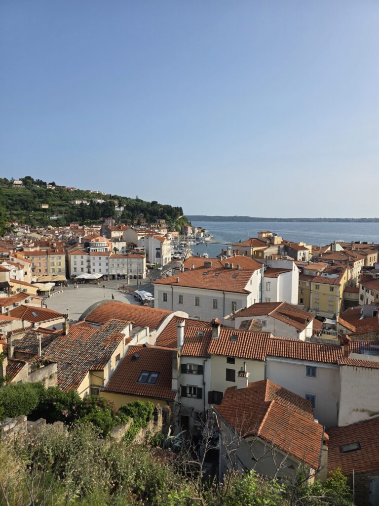 piran view square