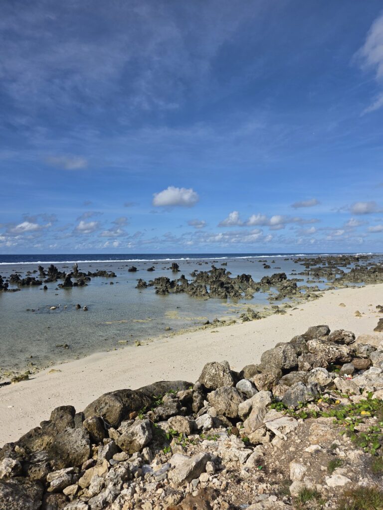 nauru rocks in water