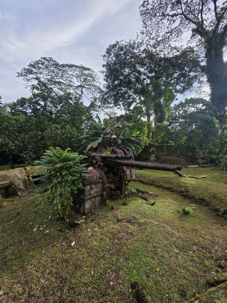 japanese weapons sokehs ridge pohnpei